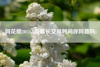 同花顺2011(A股延长交易时间你同意吗)
