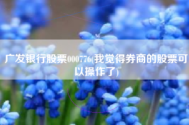 广发银行股票000776(我觉得券商的股票可以操作了)