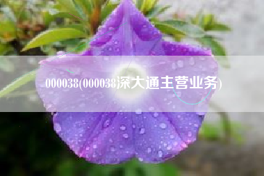 000038(000038深大通主营业务)