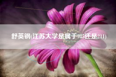 舒英钢(江苏大学是属于985还是211)