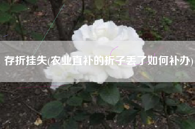 存折挂失(农业直补的折子丢了如何补办)