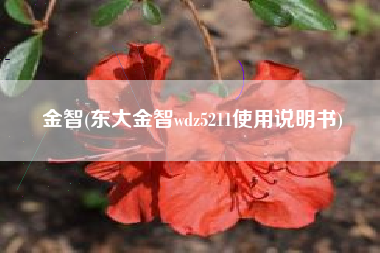 金智(东大金智wdz5211使用说明书)