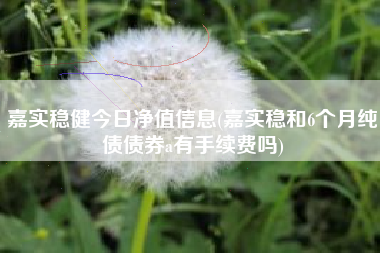 嘉实稳健今日净值信息(嘉实稳和6个月纯债债券a有手续费吗)