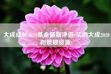 大成成长2020基金最新净值(买的大成2020和景顺资源)