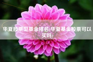 华夏股票型基金排名(华夏基金股票可以买吗)