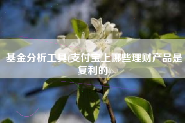 基金分析工具(支付宝上哪些理财产品是复利的)