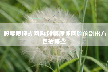 股票质押式回购(股票质押回购的融出方包括哪些)
