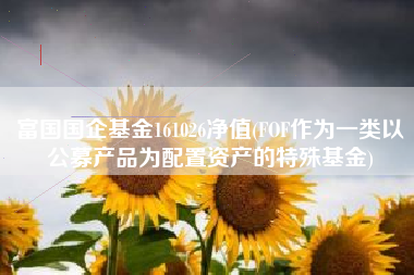 富国国企基金161026净值(FOF作为一类以公募产品为配置资产的特殊基金)