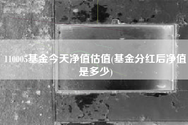 110005基金今天净值估值(基金分红后净值是多少)