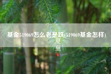 基金519069怎么老是跌(519069基金怎样)