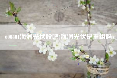 600401海润光伏股吧(海润光伏是重组吗)