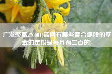 广发聚富270001(请问有哪些混合偏股的基金的定投是每月两三百的)