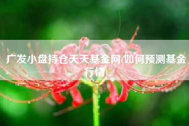 广发小盘持仓天天基金网(如何预测基金行情)