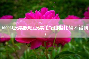 000004股票股吧(股票论坛哪些比较不错啊)