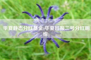 华夏静态分红基金(华夏回报二号分红明细)