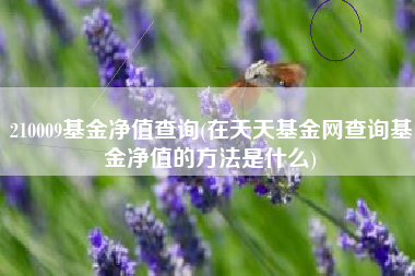 210009基金净值查询(在天天基金网查询基金净值的方法是什么)