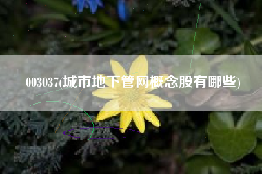 003037(城市地下管网概念股有哪些)