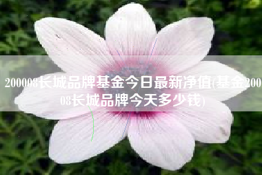 200008长城品牌基金今日最新净值(基金20008长城品牌今天多少钱)