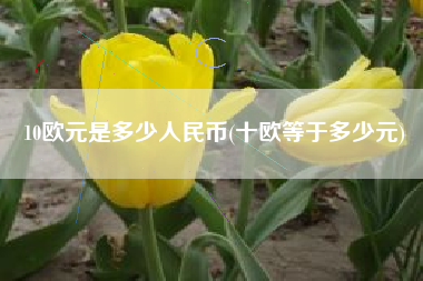 10欧元是多少人民币(十欧等于多少元)