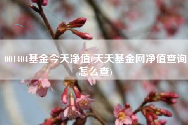 001404基金今天净值(天天基金网净值查询怎么查)