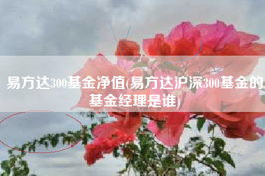 易方达300基金净值(易方达沪深300基金的基金经理是谁)