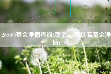 260108基金净值查询(哪个app可以看基金净值)