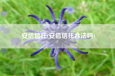 安信信托(安信信托合法吗)