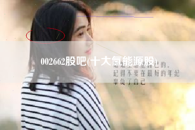 002662股吧(十大氢能源股)