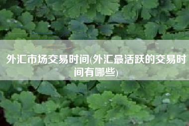 外汇市场交易时间(外汇最活跃的交易时间有哪些)