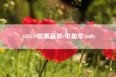 688439股票最新(市盈率3600)