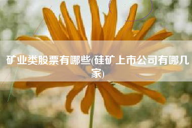 矿业类股票有哪些(硅矿上市公司有哪几家)