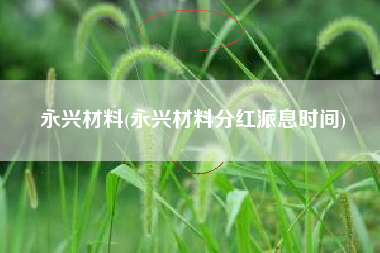 永兴材料(永兴材料分红派息时间)