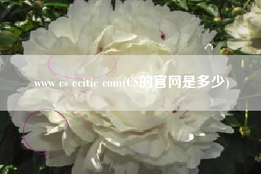 www cs ecitic com(CS的官网是多少)