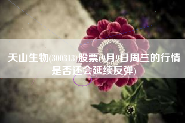 天山生物(300313)股票(9月9日周三的行情是否还会延续反弹)