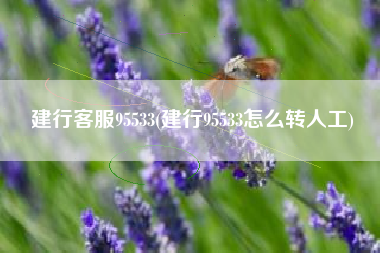 建行客服95533(建行95533怎么转人工)