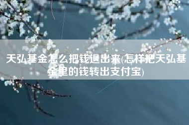 天弘基金怎么把钱退出来(怎样把天弘基金里的钱转出支付宝)