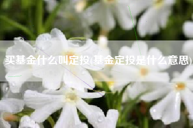 买基金什么叫定投(基金定投是什么意思)