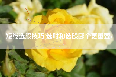短线选股技巧(选时和选股哪个更重要)