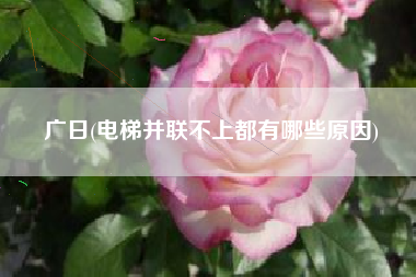广日(电梯并联不上都有哪些原因)