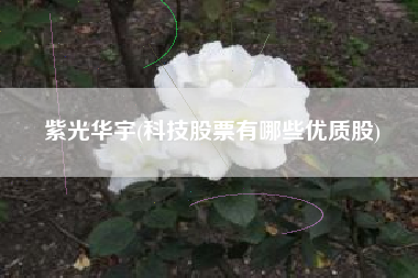 紫光华宇(科技股票有哪些优质股)