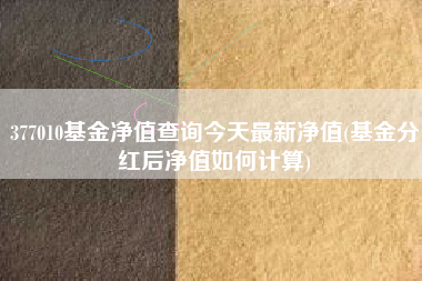 377010基金净值查询今天最新净值(基金分红后净值如何计算)