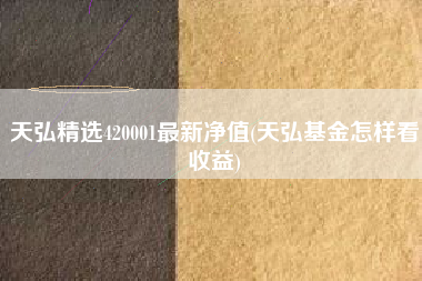 天弘精选420001最新净值(天弘基金怎样看收益)
