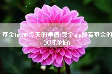 基金160706今天的净值(哪个app能看基金的实时净值)