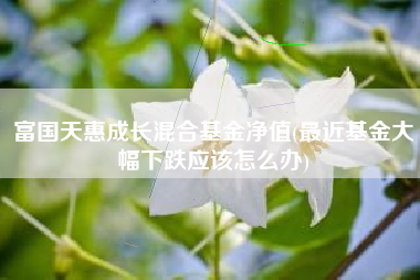 富国天惠成长混合基金净值(最近基金大幅下跌应该怎么办)