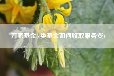 万家基金(c类基金如何收取服务费)