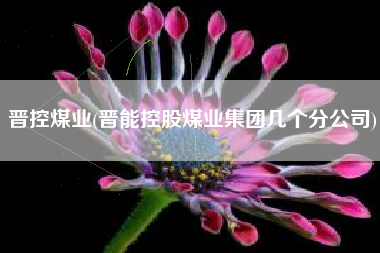 晋控煤业(晋能控股煤业集团几个分公司)