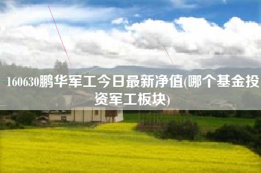 160630鹏华军工今日最新净值(哪个基金投资军工板块)