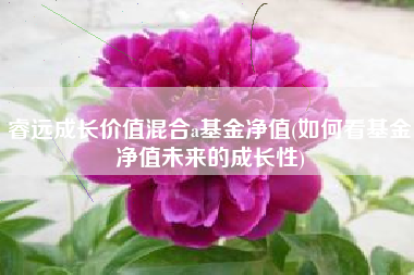 睿远成长价值混合a基金净值(如何看基金净值未来的成长性)