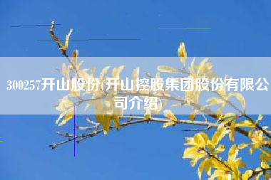300257开山股份(开山控股集团股份有限公司介绍)