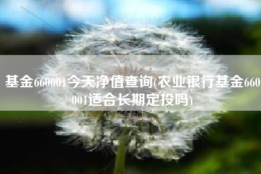 基金660001今天净值查询(农业银行基金660001适合长期定投吗)
